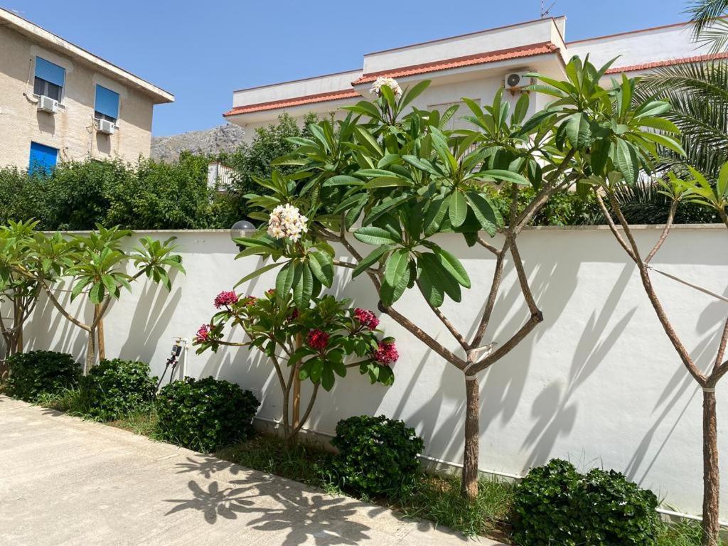 Villa Delle Pomelie Isola delle Femmine Exterior foto
